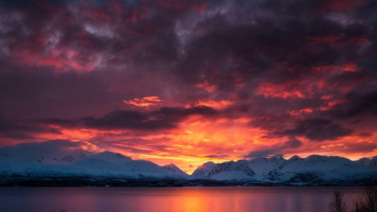 דירות Olderdalen Lyngenfjord,Odins Hus מראה חיצוני תמונה