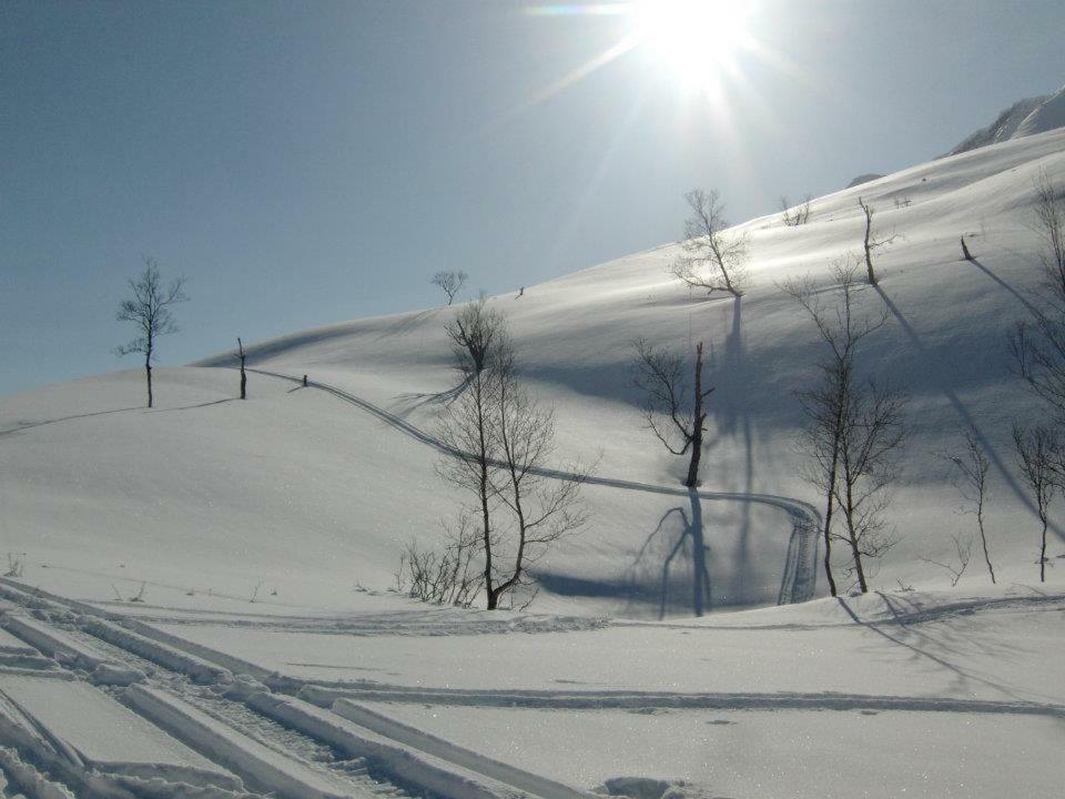 דירות Olderdalen Lyngenfjord,Odins Hus מראה חיצוני תמונה